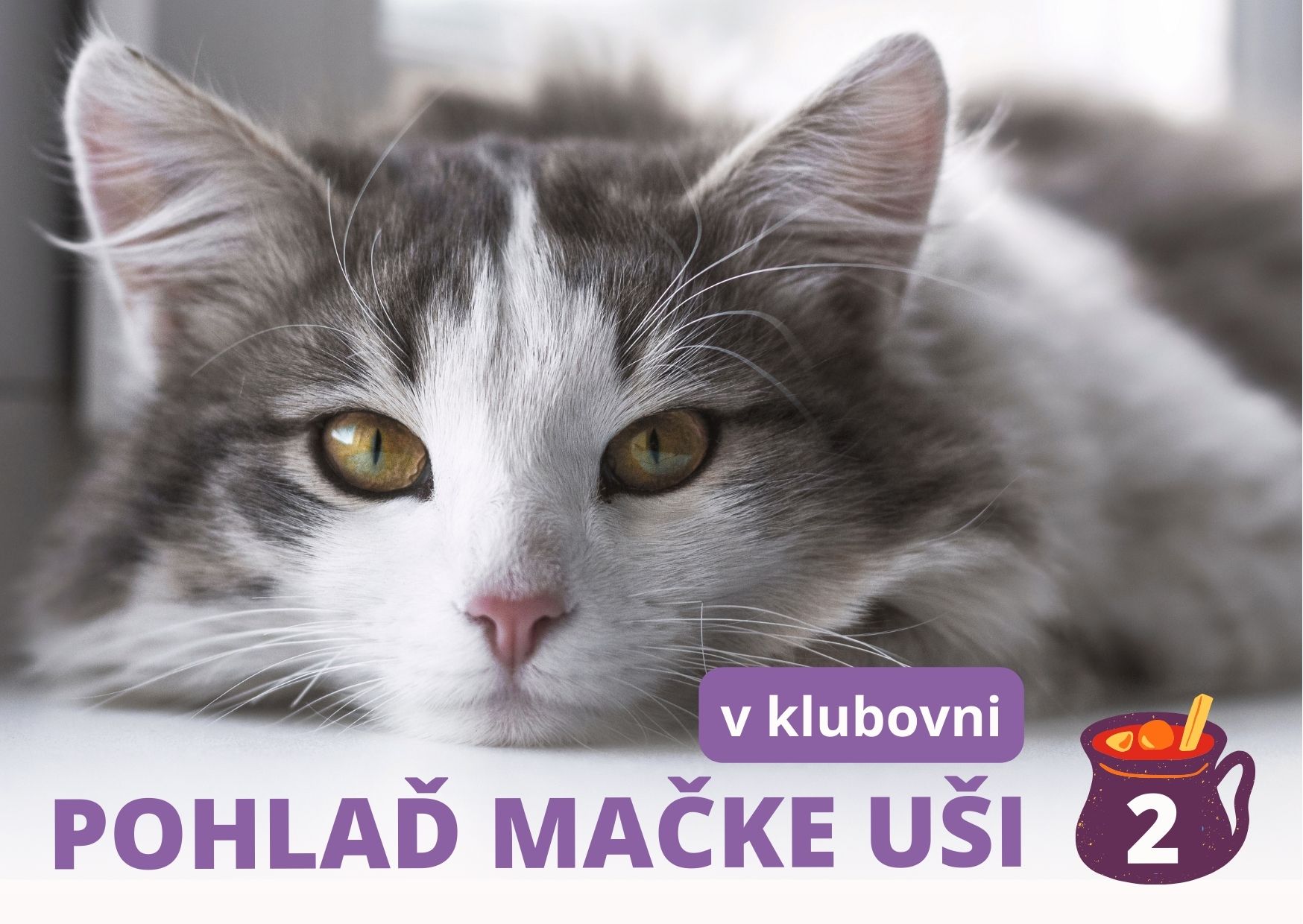 Teplo, kožúšky a vianočný punč